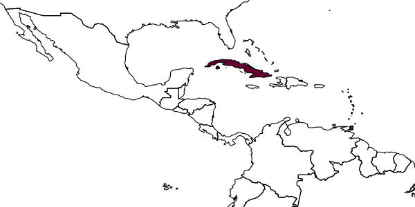 map of Ooencyrtus calpodicus     Noyes, 1985